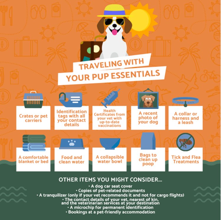 infographic showing things to pack for traveling with a dog