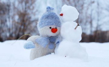moving-in-winter-months