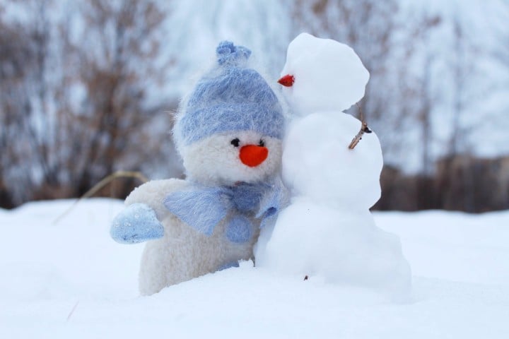 snowman with stuffed animal