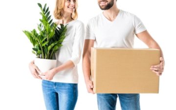 how to transport plants when moving
