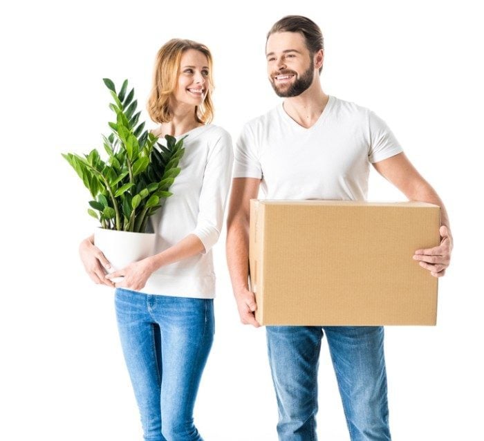 how to transport plants when moving