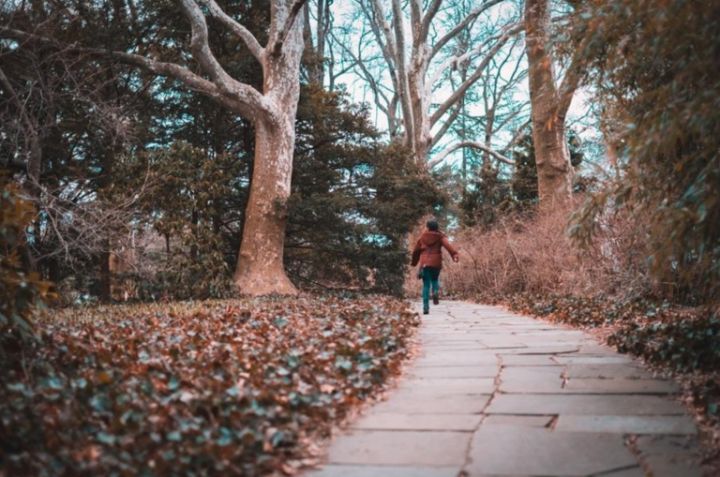 Brooklyn Botanic Garden