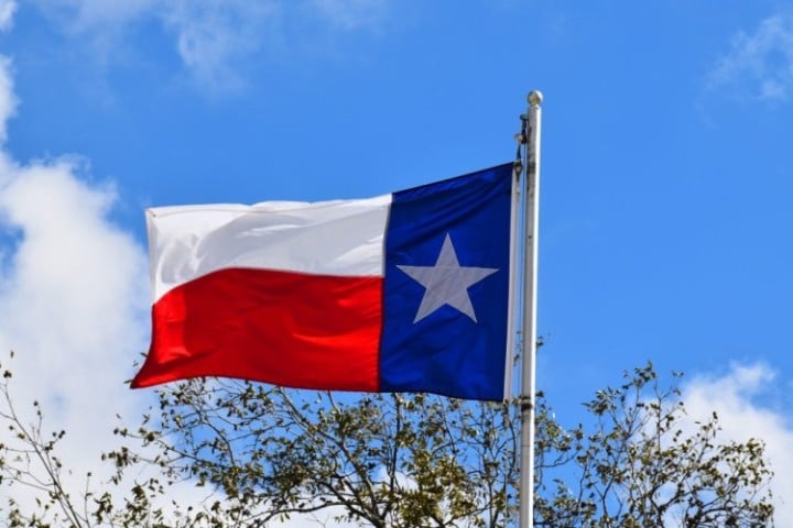 Texas state flag
