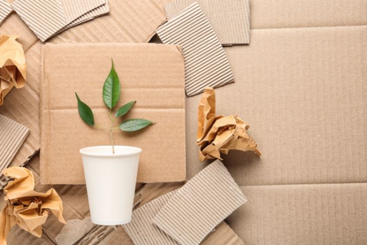 Sustainable-Packaging