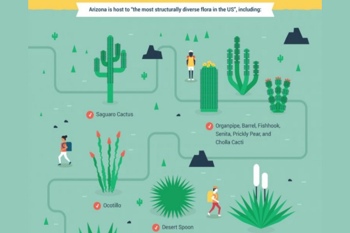 Move To Phoenix arizona is the host