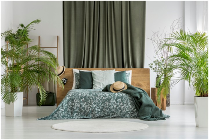 bed with curtain behind and potted plants on each side
