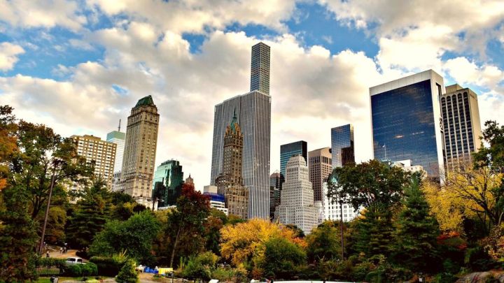 view of Central Park with New York skyline in background