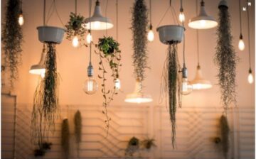 hanging lamps and hanging plants
