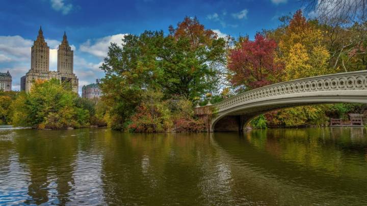 view of Central Park