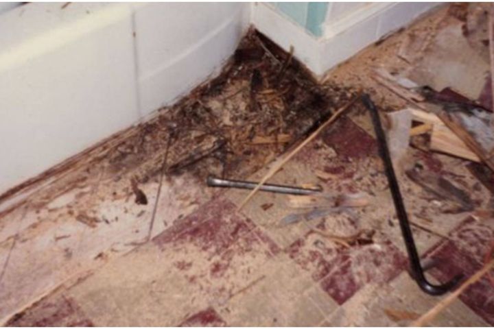 damaged floor with water moisture