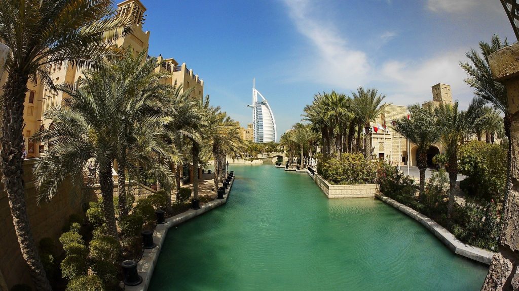 trees and water scenery in Dubai