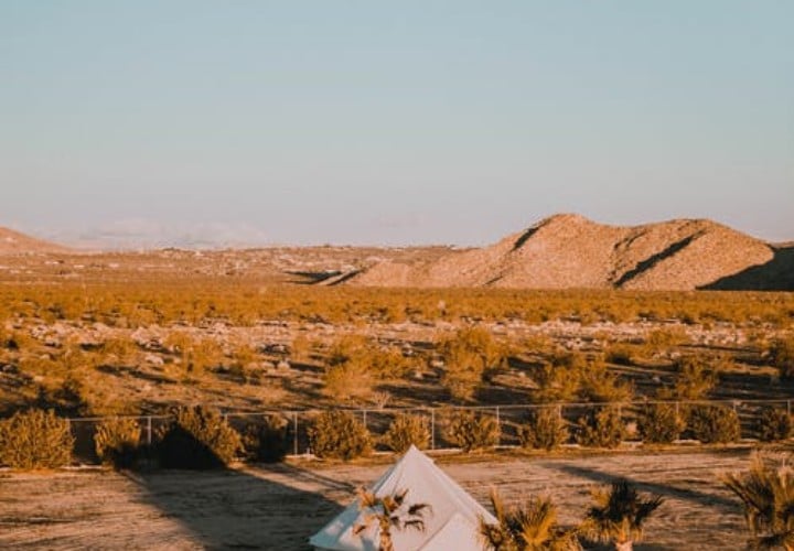 canopy tent