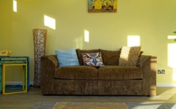 sofa with owl pillow in front of green wall