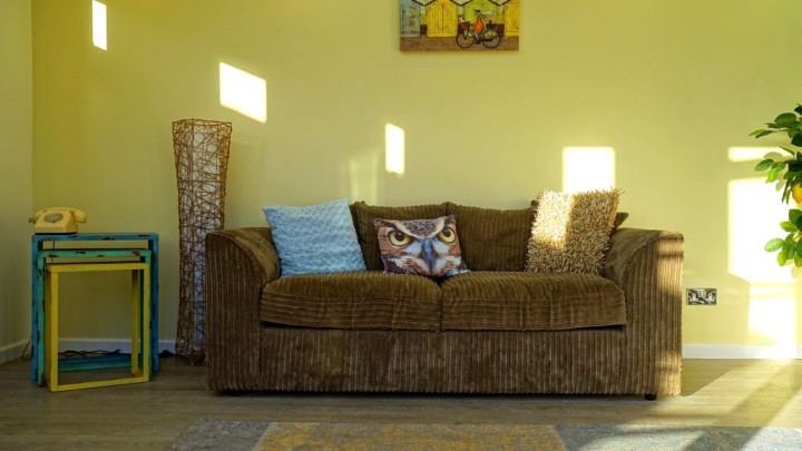 sofa with owl pillow in front of green wall