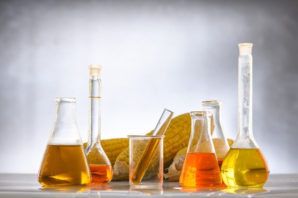 corn cobs with beakers of liquid