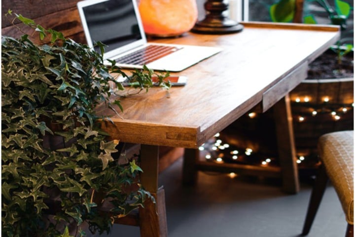 work table with laptop and lava lamp and surrounded by plants