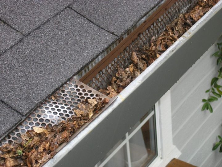 roof gutter covered with leaves