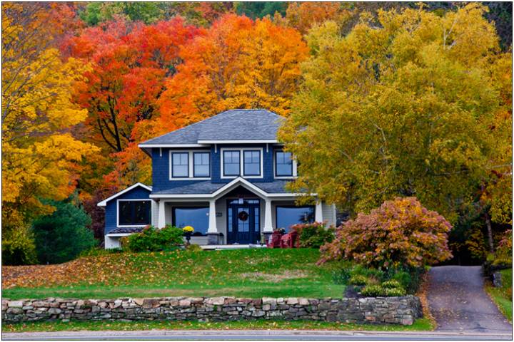 beautiful house with a park with trees