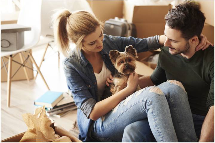 couple with dog in new house moving