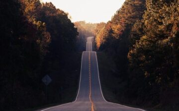 road passing through fall foliage