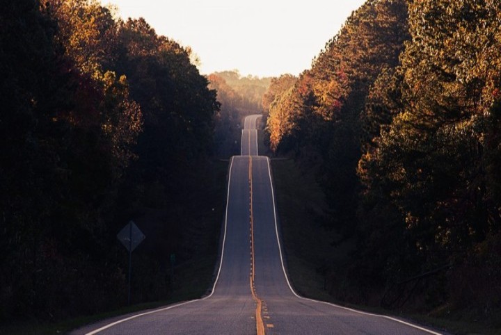 road passing through fall foliage