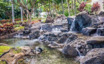 creek with waterfall in Hawaii