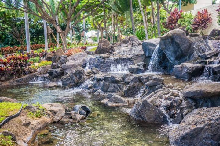 creek with waterfall in Hawaii