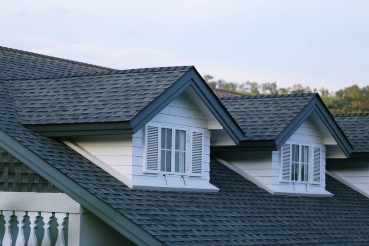 house roof and windows