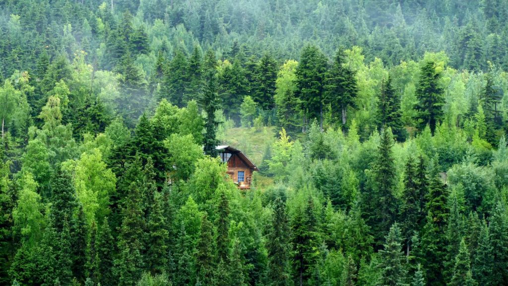 house in middle of Alaska wilderness