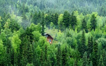 Rustic log cabin nestled in an Alaskan forest