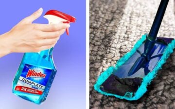 photos of Windex and a mop