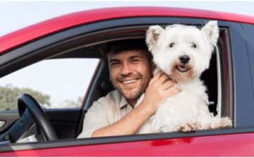 Smiling pet owner visiting a fun destination with his dog