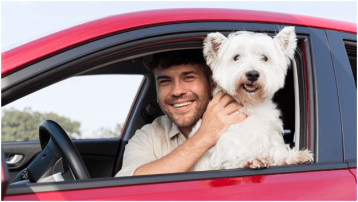Smiling pet owner visiting a fun destination with his dog