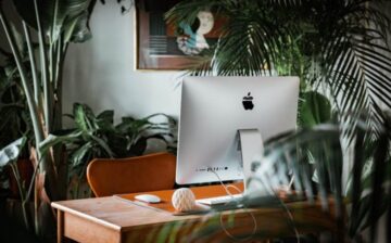 desk with laptop and surrounded by house plants