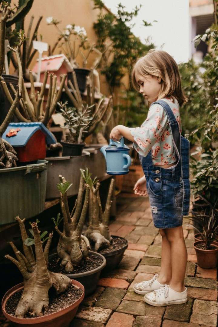 child watering plants in an enclosed garden