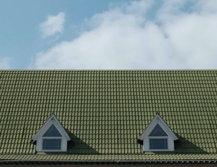 Why Roof Color Matters? Things to Check Out for the Best Roof Color