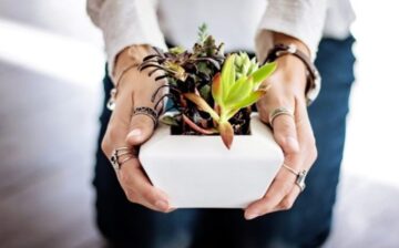 handing a potted plant