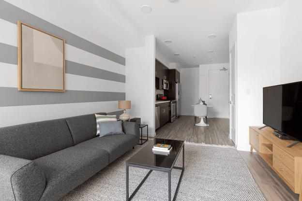 furnished modern apartment living room