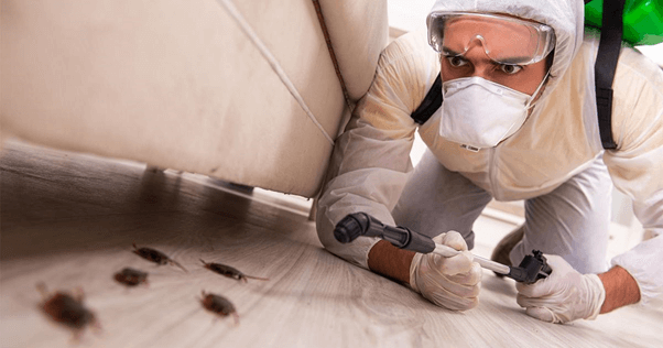 professional exterminator and cockroaches in a home
