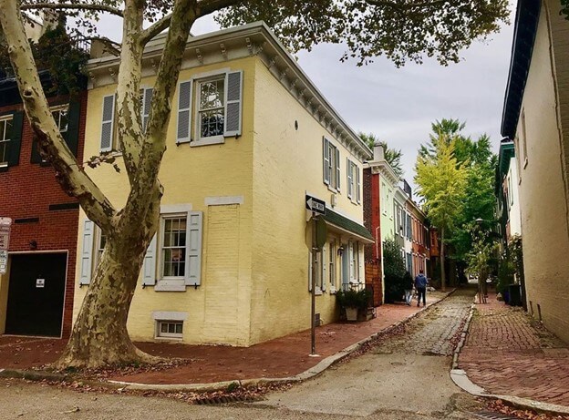 row of townhomes on a tree-lined street