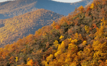 Blairsville, GA mountains