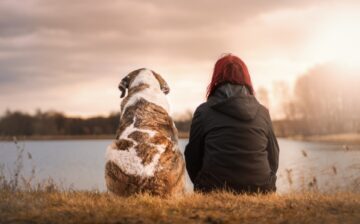 Moving with your dog