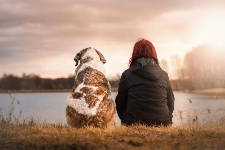 girl with dog at the edge of lake