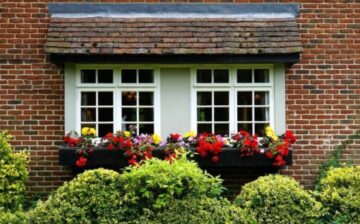 window with flowerbed