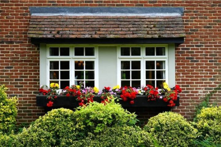 window with flowerbed