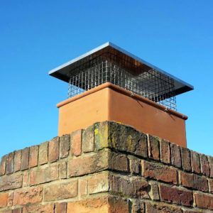 Chimney Cap Protects