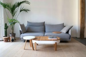 living room with blue sofa, wooden table, and plant