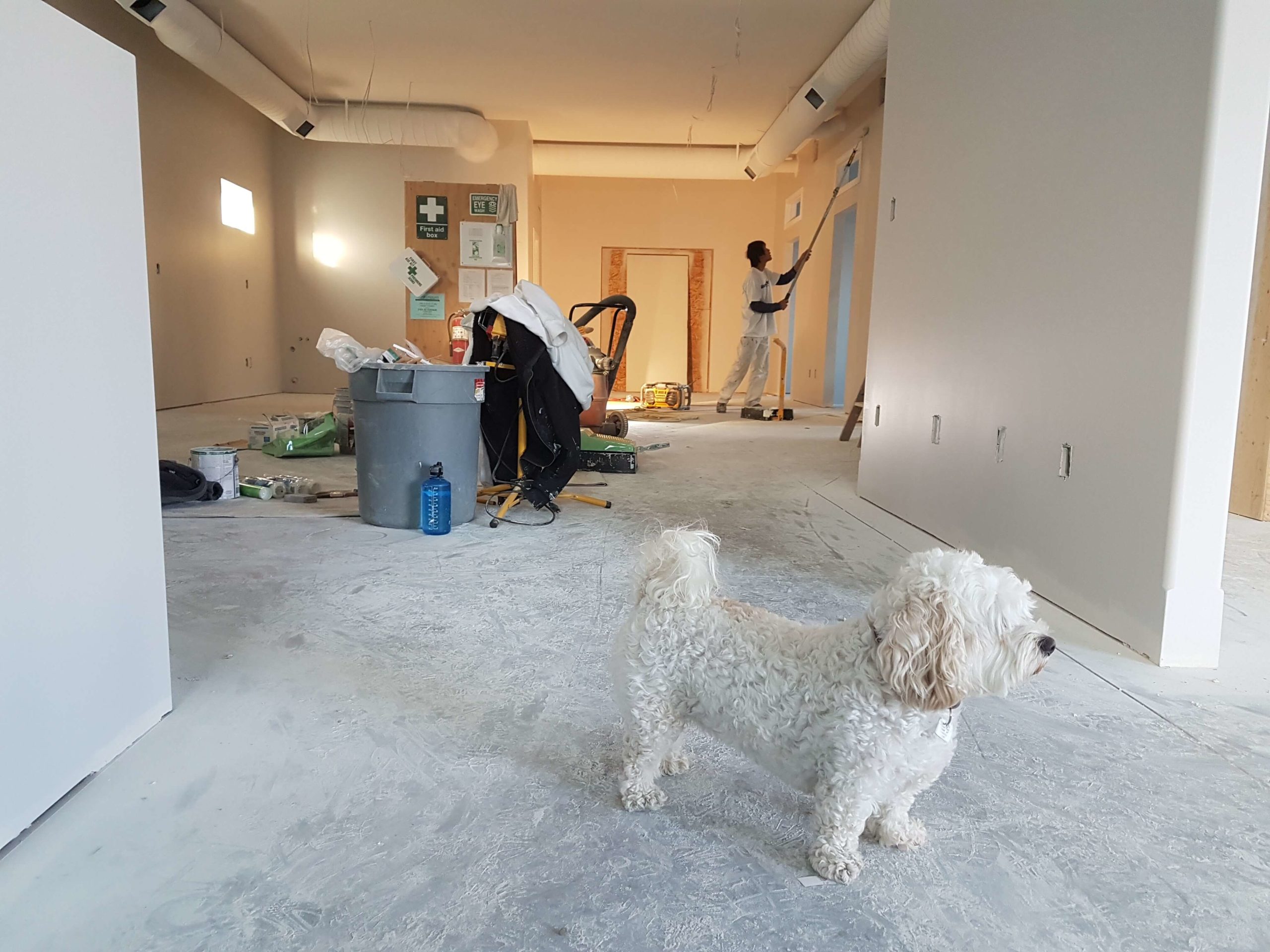 Renovating Your Home to Increase