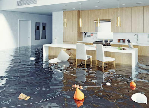 6 Services to Expect From Water Damage Restoration Companies in Long Island NY