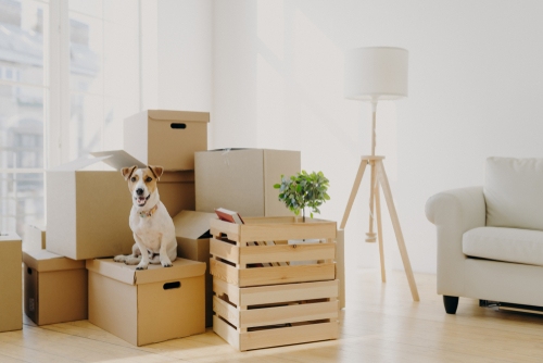 7 Tips for Tenants on Moving Day